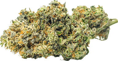Sour Kush
